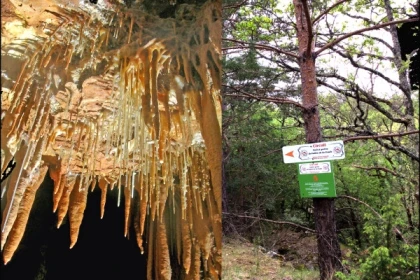 Visit and treasure hunts in the cave and in the forest - Exploregion