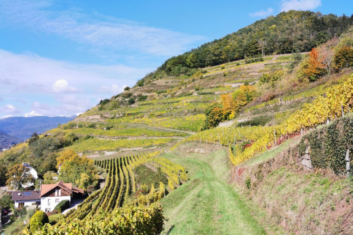 Visit Adventure - Exploregion