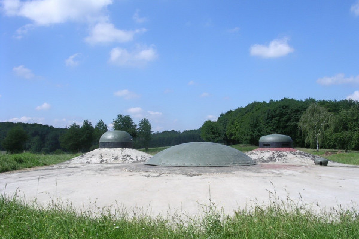 Maginot Line "Fort de Schoenenbourg" entrance ticket - Exploregion
