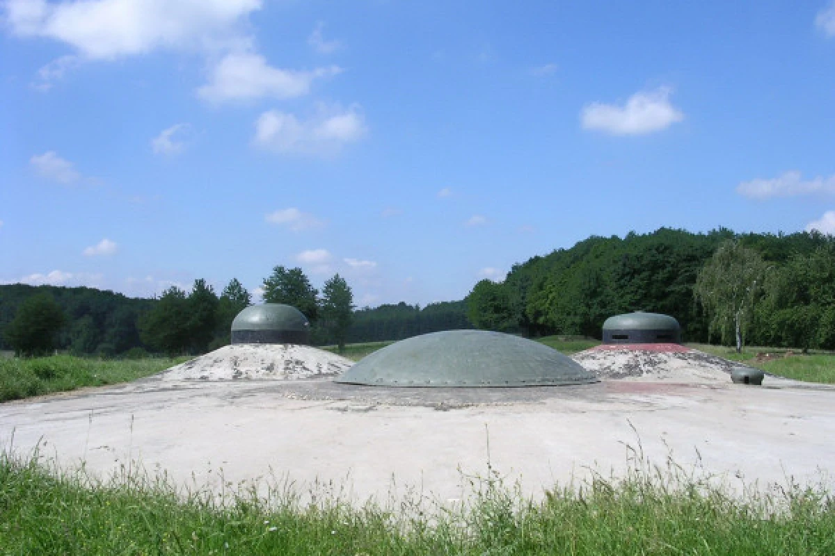 Maginot Line "Fort de Schoenenbourg" entrance ticket - Exploregion