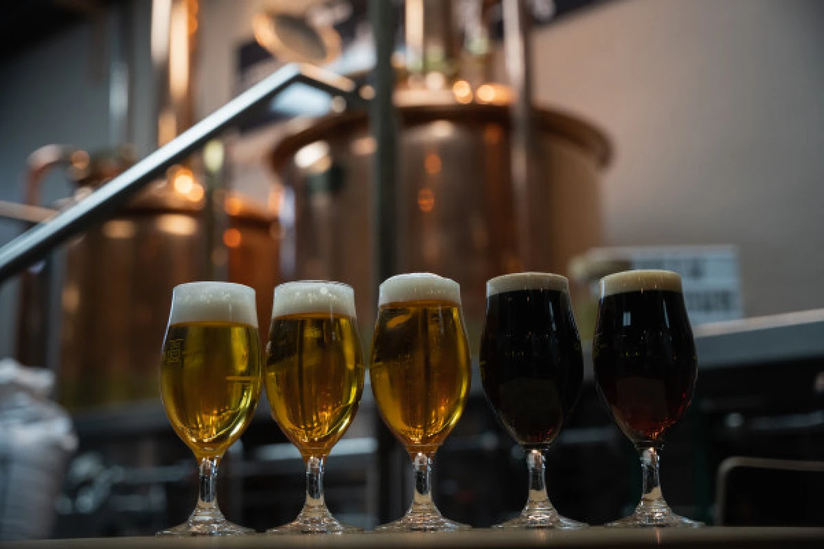 Brew Your Own Beer - De Brauatelier (max. 15 people) - Exploregion