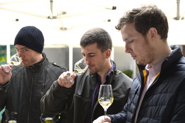 Chablis tasting at  Domaine Clotilde Davenne in French - Exploregion