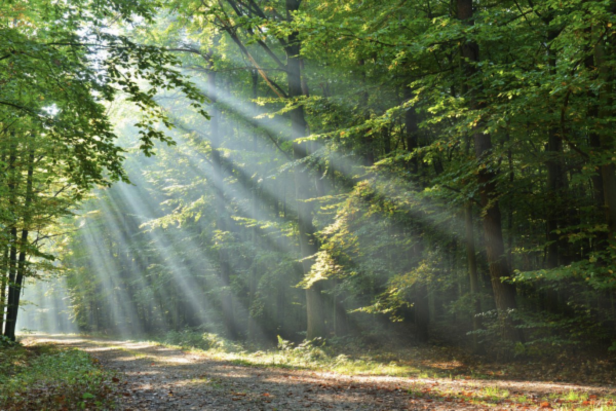 DIGITAL TREASURE HUNT ON FOOT OR BY BIKE - Exploregion