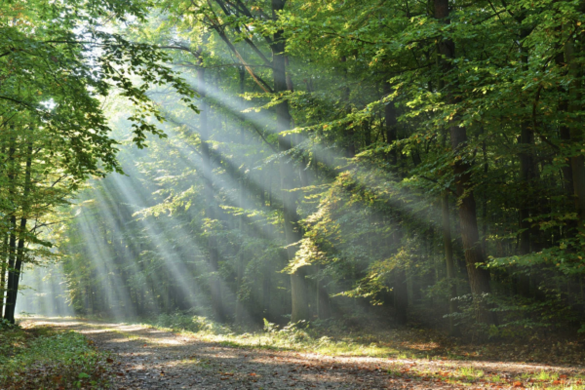 DIGITAL TREASURE HUNT ON FOOT OR BY BIKE - Exploregion