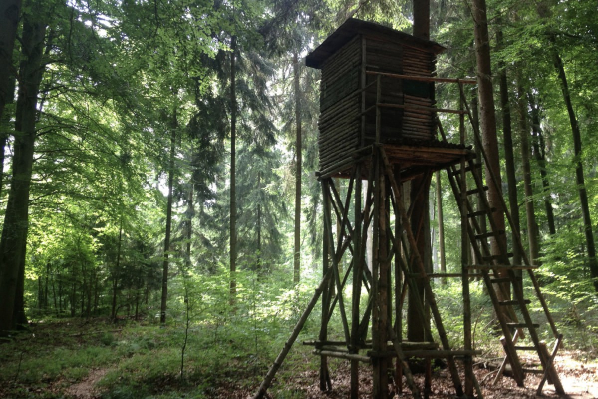 DIGITAL TREASURE HUNT ON FOOT OR BY BIKE - Exploregion