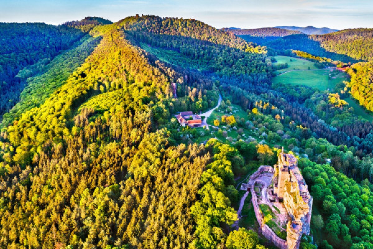 DIGITAL TREASURE LEMBACH (BY FOOT) - Exploregion