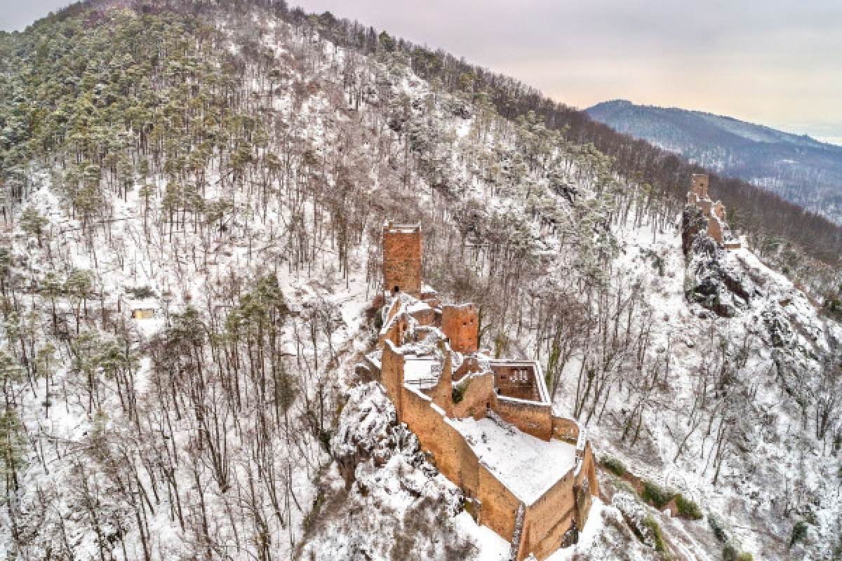 DIGITAL TREASURE RIBEAUVILLÉ (BY FOOT) - Exploregion