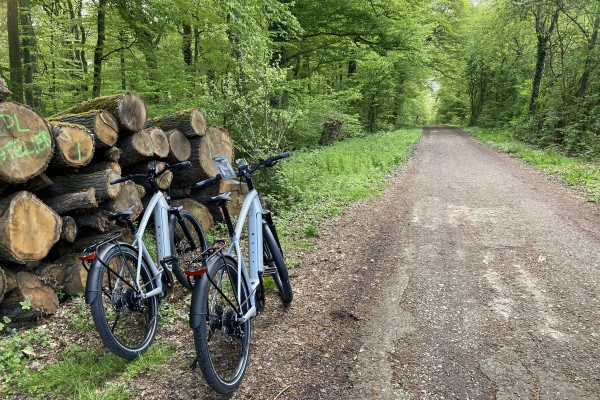 City E-Bike Luxembourg: Perfect for Nature Lovers - Exploregion