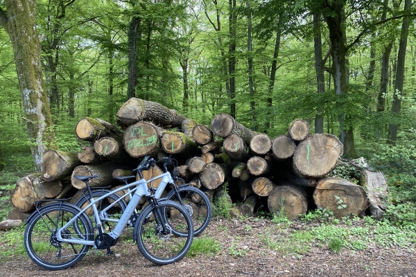 City E-Bike Luxembourg: Perfect for Nature Lovers - Exploregion