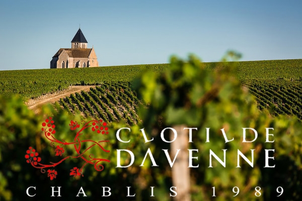 Davenne Pinot & Red Wines Tour and Tasting (in English) - Exploregion