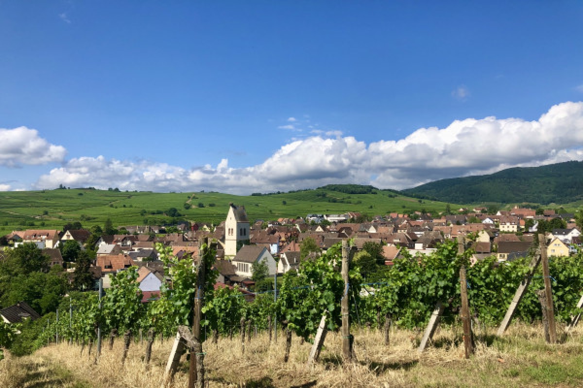 Winegrower discovery: the soul of a vineyard - Exploregion