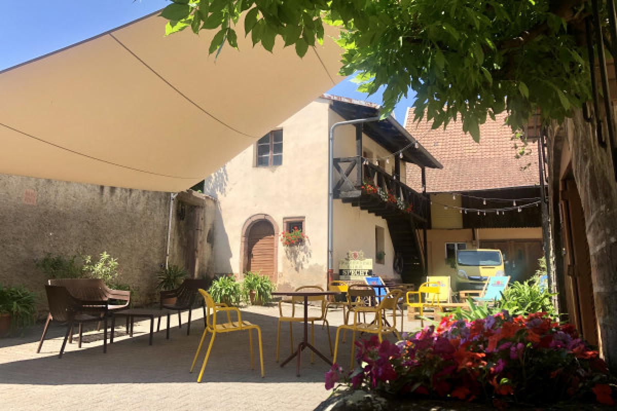 Winegrower discovery: the soul of a vineyard - Exploregion