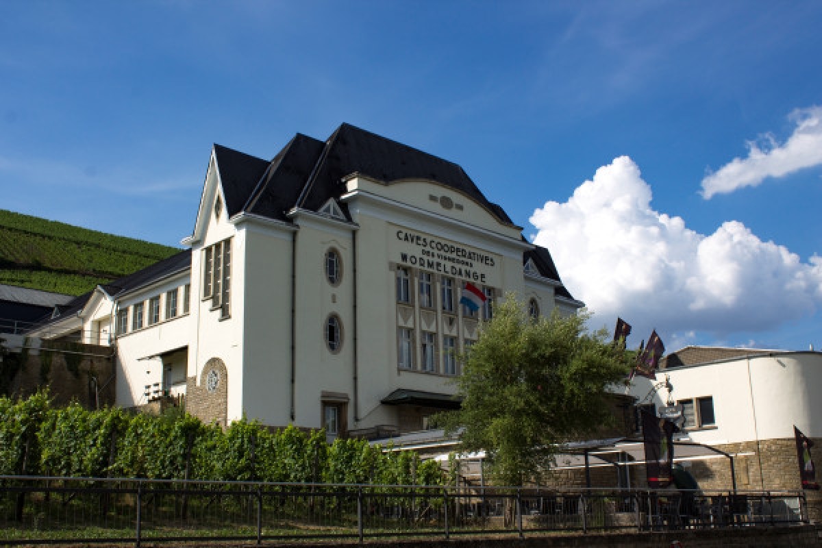 Wine tasting - Caves des Crémants POLL-FABAIRE - Exploregion