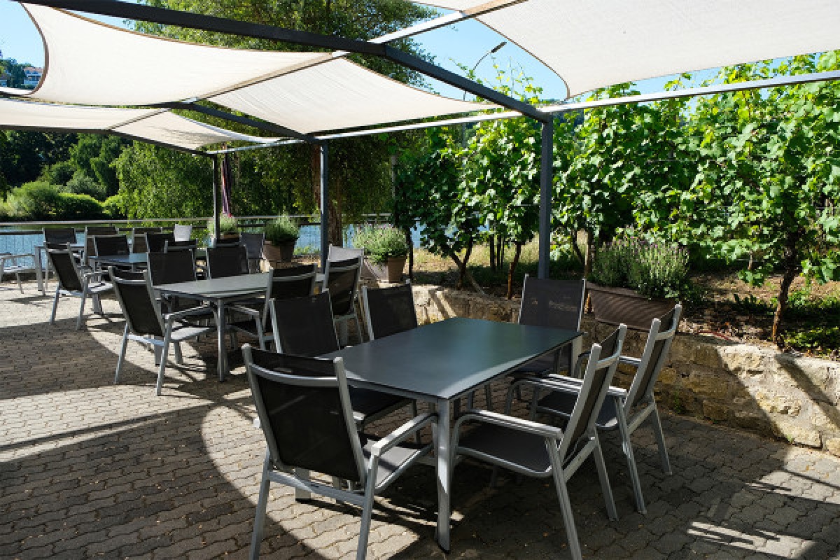 Wine tasting - Caves des Crémants POLL-FABAIRE - Exploregion