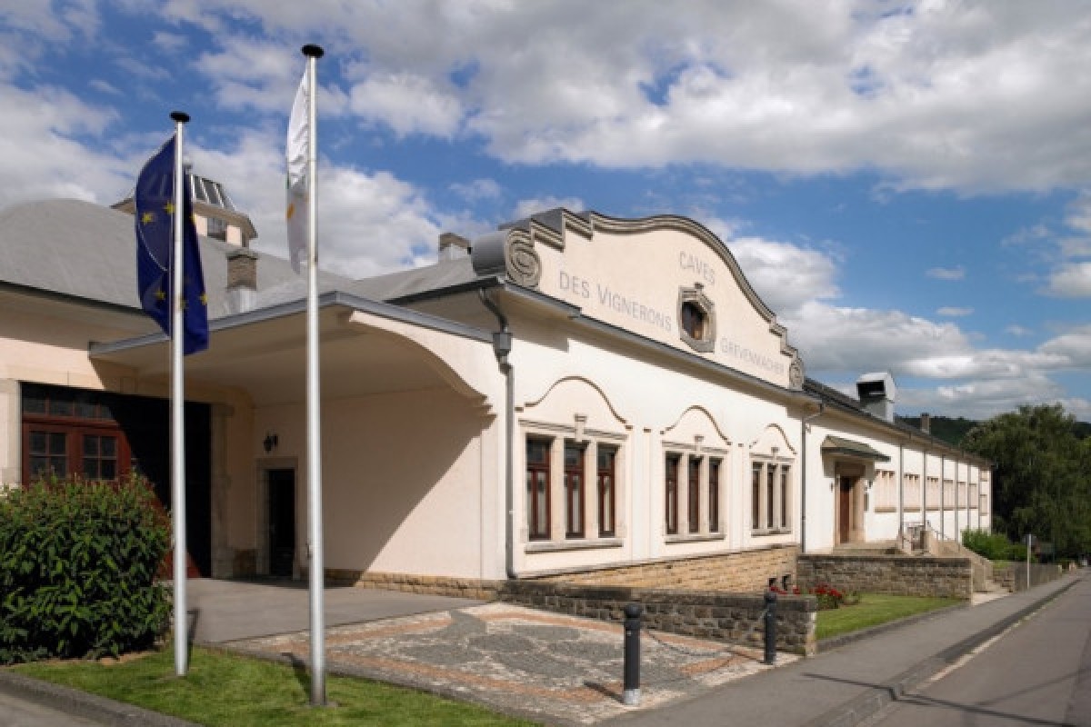 Wine tasting - Caves des Vignerons de Grevenmacher - Exploregion