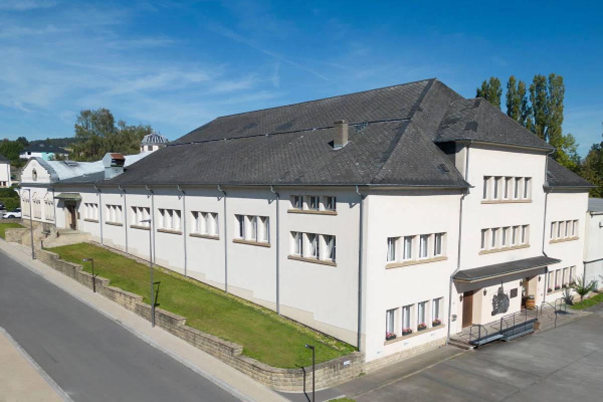 Wine tasting - Caves des Vignerons de Grevenmacher - Exploregion
