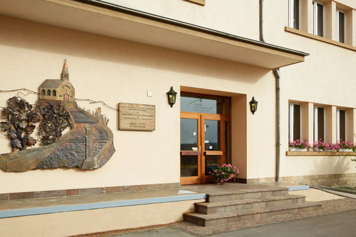 Wine tasting - Caves des Vignerons de Grevenmacher - Exploregion