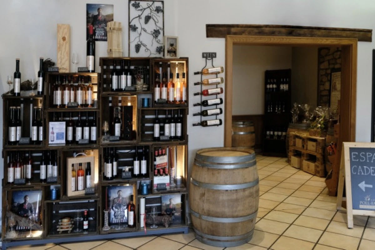Wine tasting - Caves des Vignerons de Grevenmacher - Exploregion