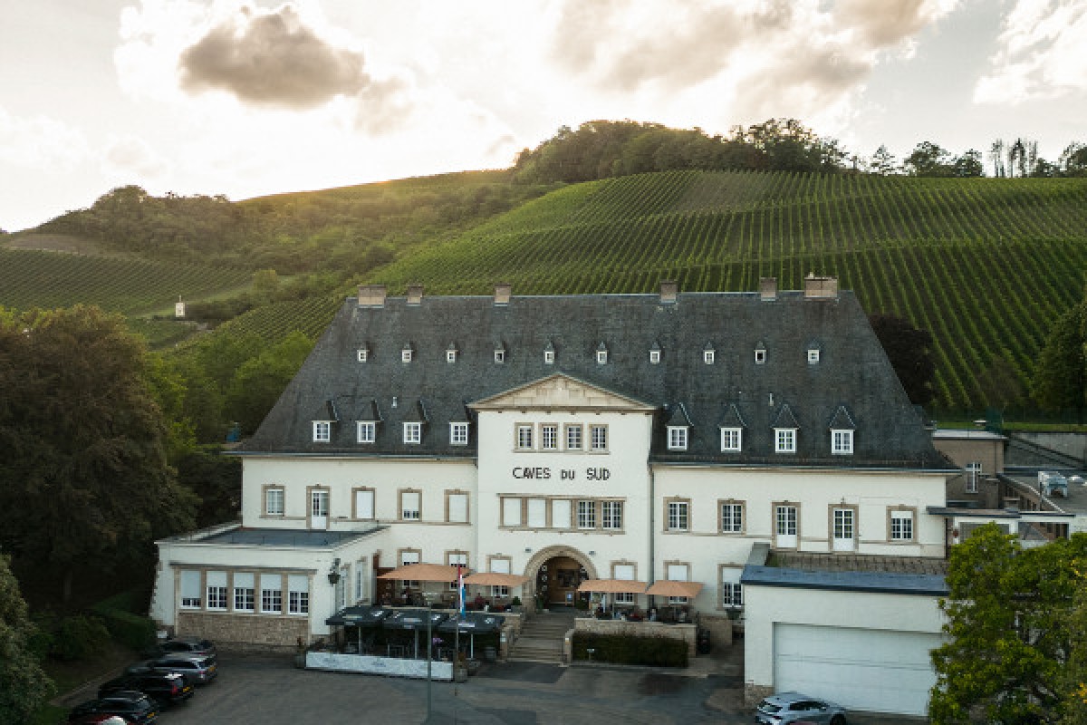 Wine tasting - Caves du Sud Remerschen - Exploregion