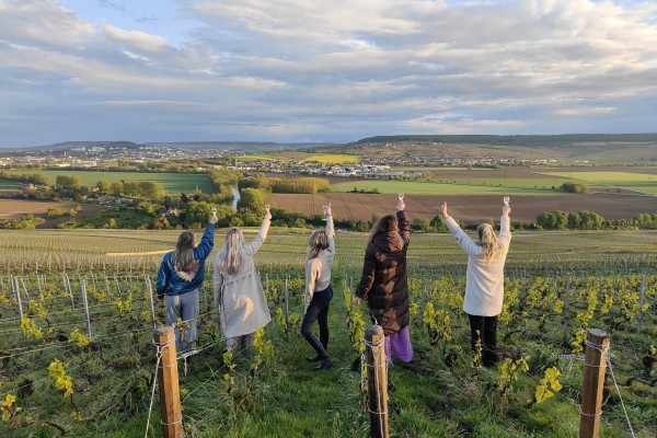 The Must-Have Tradition, tasting in the vineyard - Exploregion