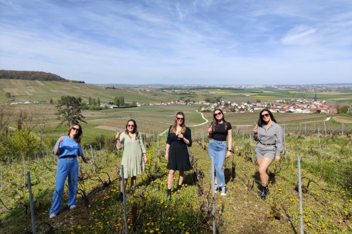 The Must-Have Tradition, tasting in the vineyard - Exploregion
