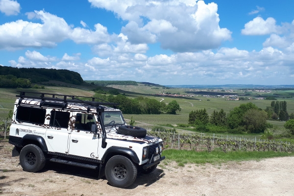 The Must-Have Tradition, tasting in the vineyard - Exploregion