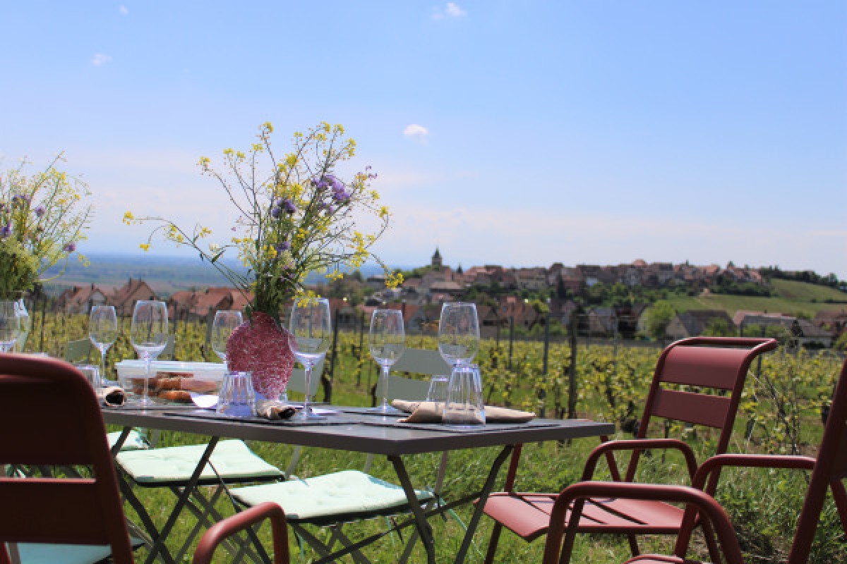 Lunch in the Vineyard - Exploregion