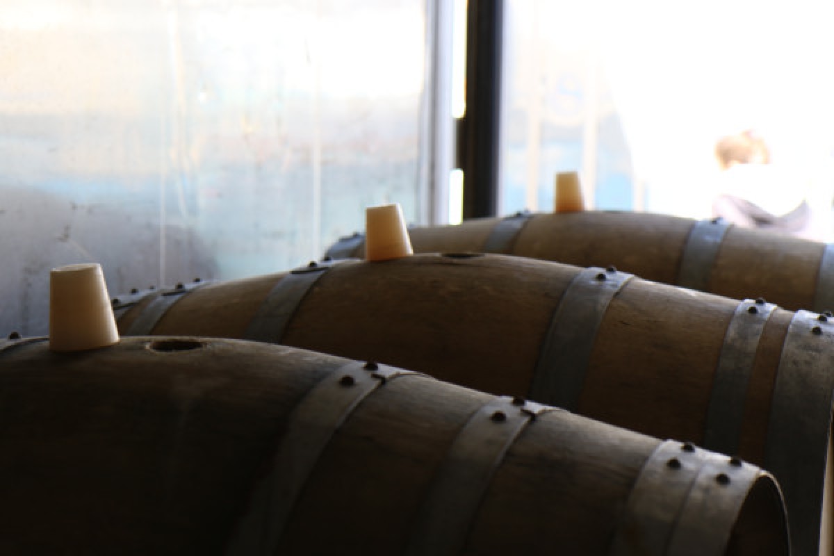 Ripeness masterclass by Champagne De Sloovere - Pienne - Exploregion