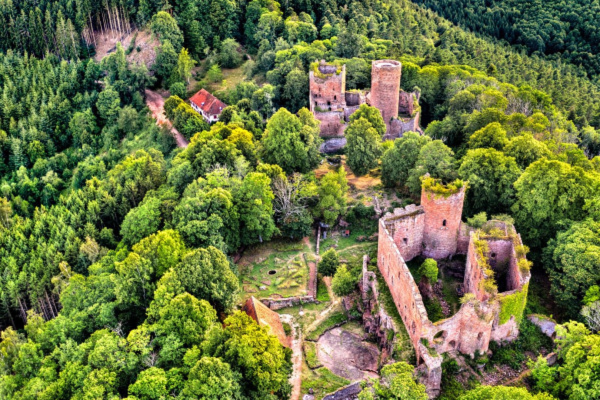 DIGITAL TREASURE LUTZELBOURG (BY FOOT) - Exploregion