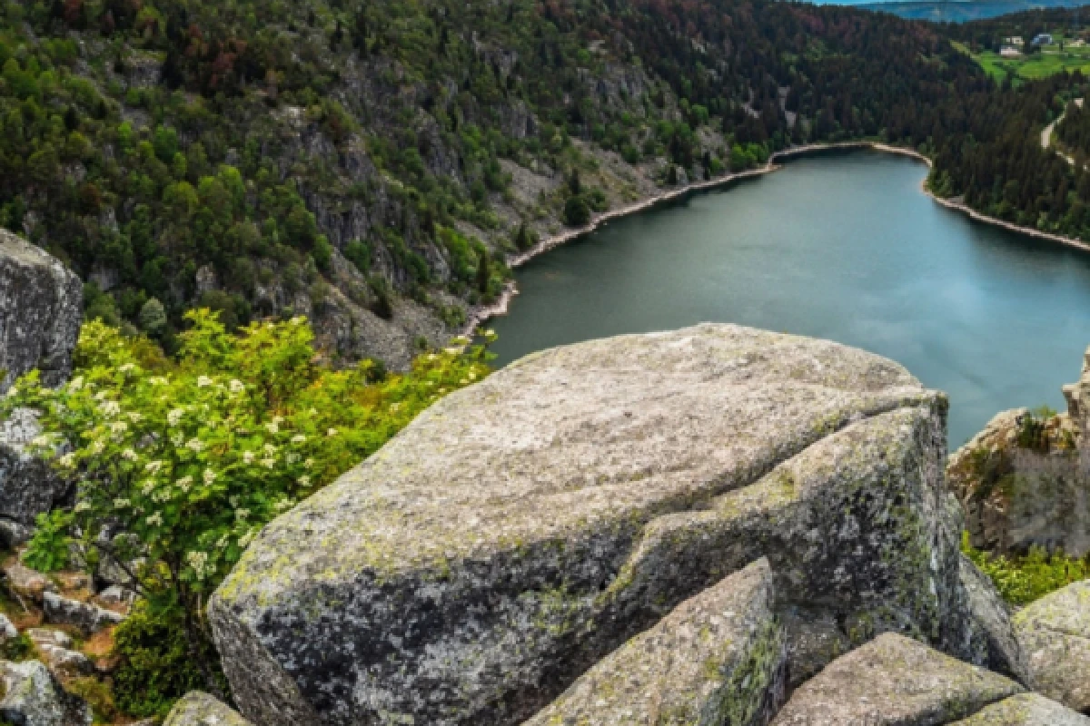 Discovery walk on Lac Blanc - Exploregion