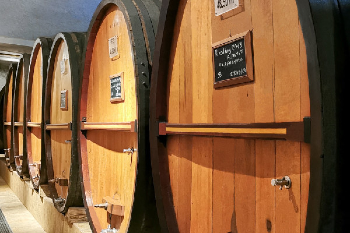 Visit Discovery - Exploregion