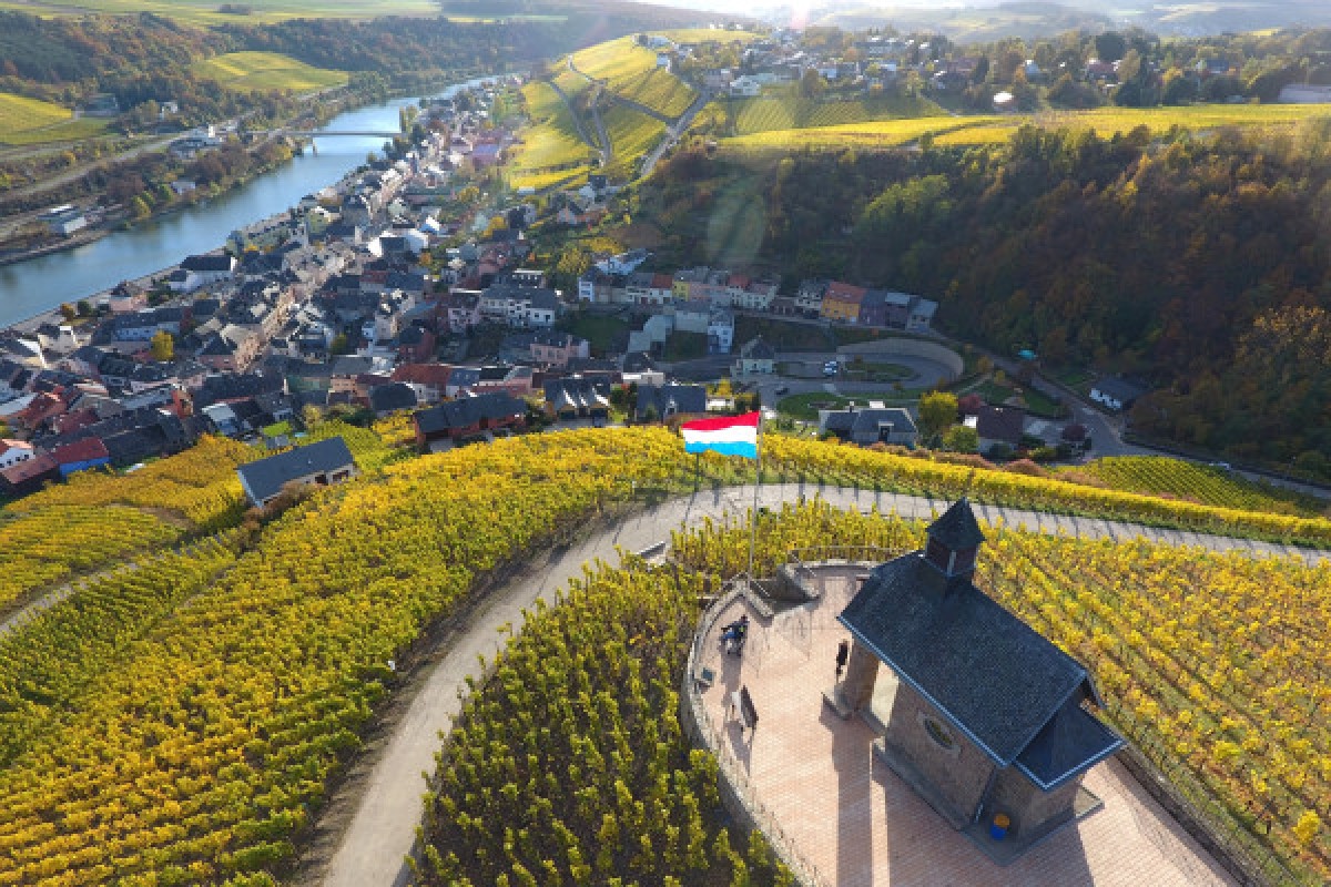 Explore the Enchanting River and Wine Moselle Day Tour - Exploregion