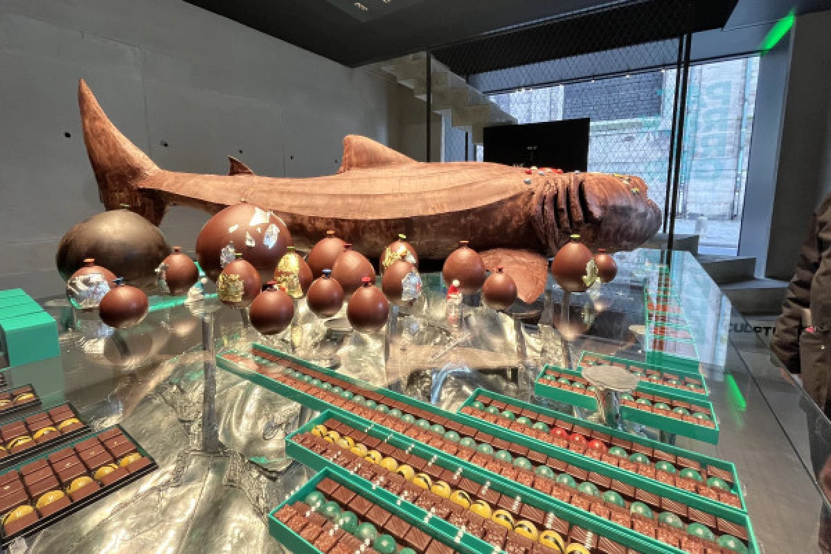 Food Tour in Paris - Chocolate and Pastry Tour - Exploregion