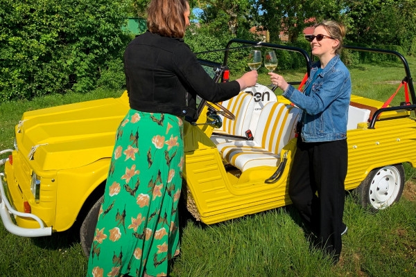Grands Crus tour in e-Mehari and Chablis tasting - Exploregion