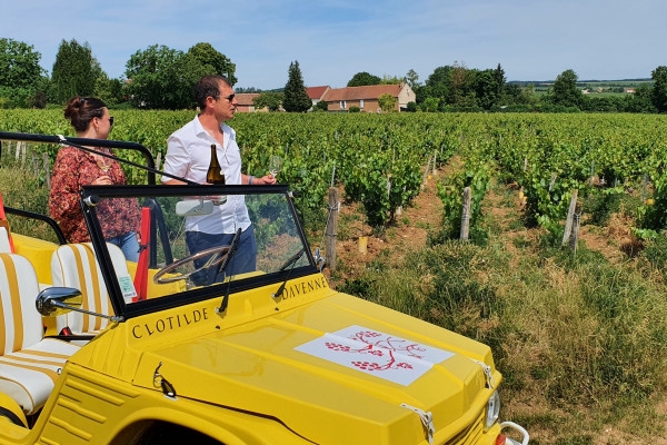 Grands Crus tour in e-Mehari and Chablis tasting - Exploregion