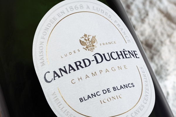 Guided Tour & Iconic Premium Tasting - Exploregion