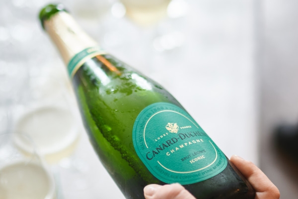 Guided Tour & Léonie Iconic Tasting - Exploregion