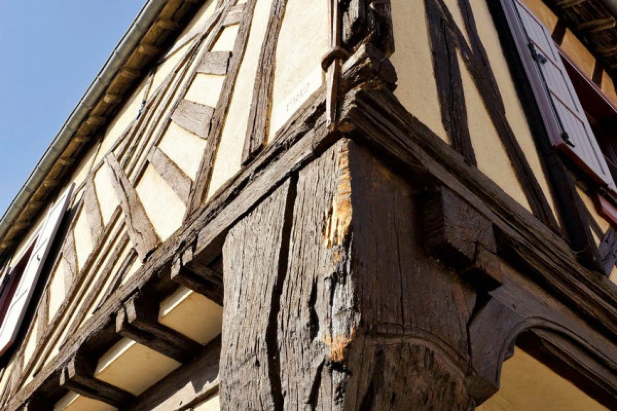 Guided tour of Aÿ-Champagne - Exploregion