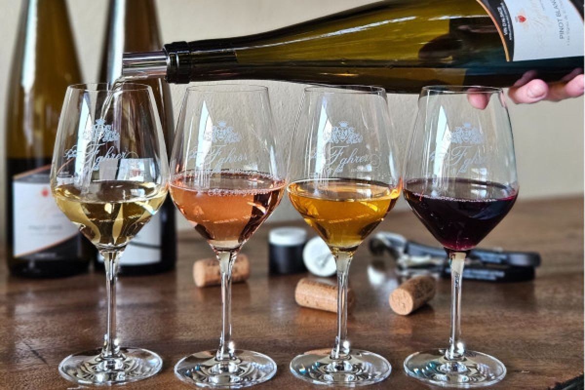 Guided winery tour in Alsace - local wine tasting - Exploregion