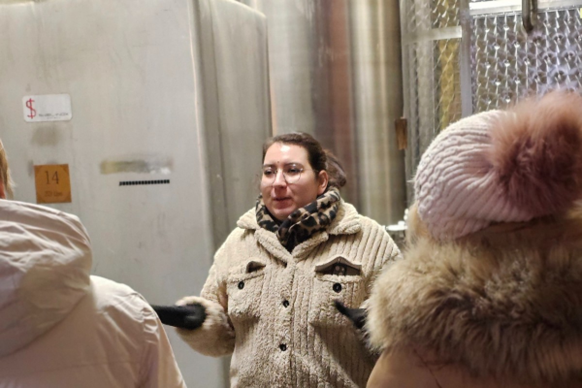 Guided winery tour in Alsace - local wine tasting - Exploregion