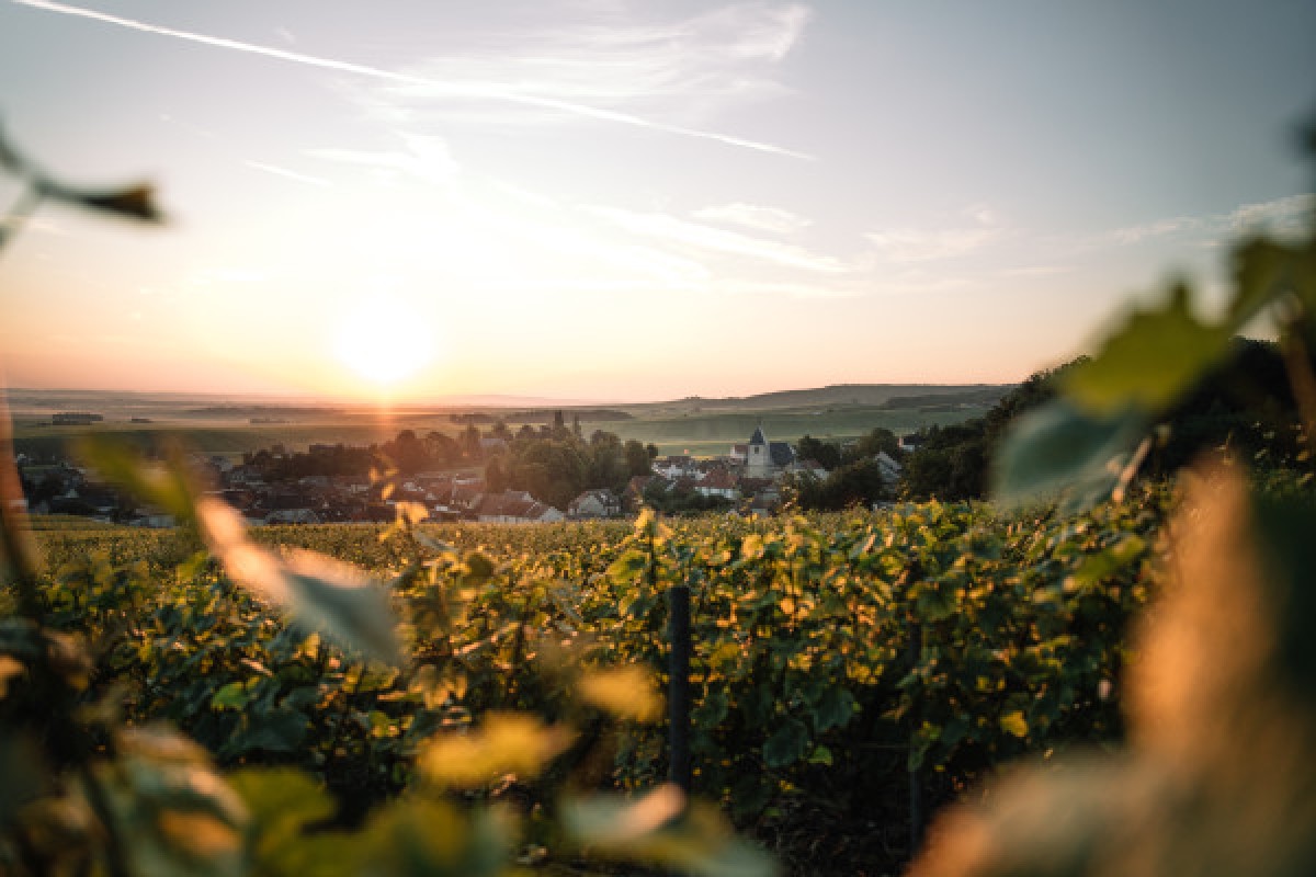 Iconic Tour - Maison Canard-Duchêne - Exploregion