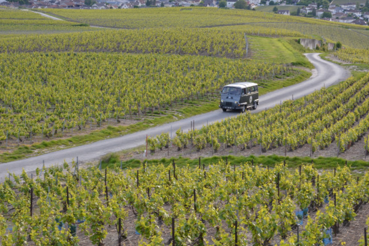 The Essential tour from Epernay - Exploregion