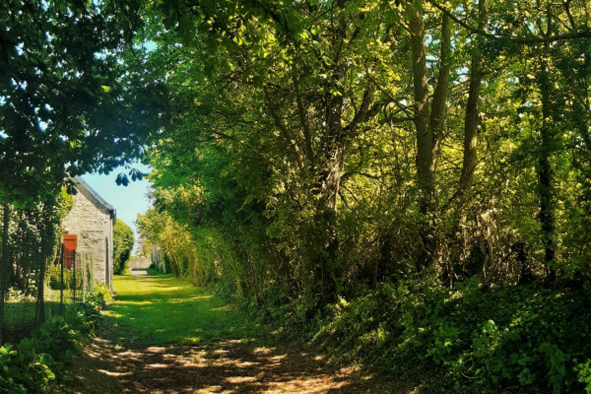 Manu heritage, escape game at Champaggne V&G Dupont - Exploregion