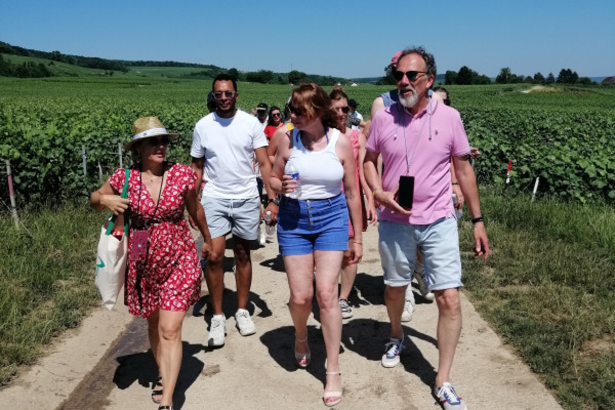 The Gourmet Immersion - Walking Stroll, Tour & Gastronomy - Exploregion