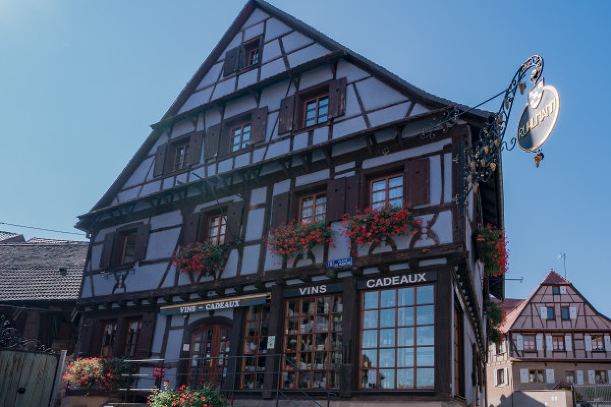 The Little Winegrower's Train - Exploregion