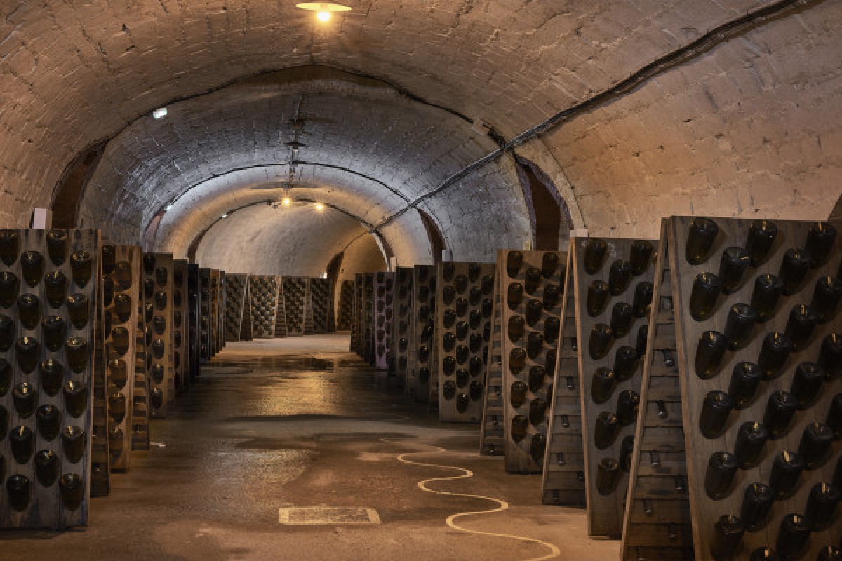 Léonie Tour - Exploregion