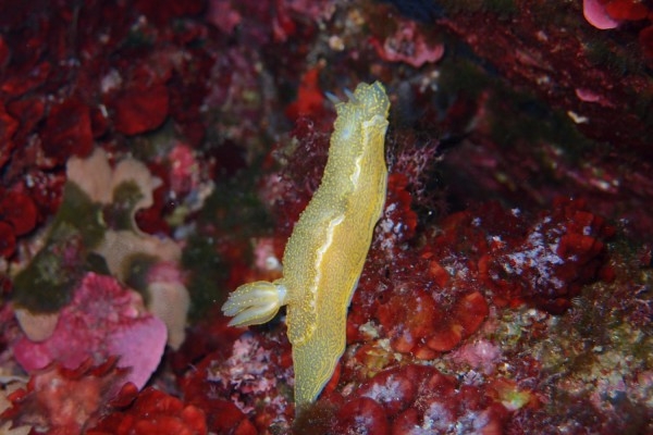 Level 1 Training - Exploregion