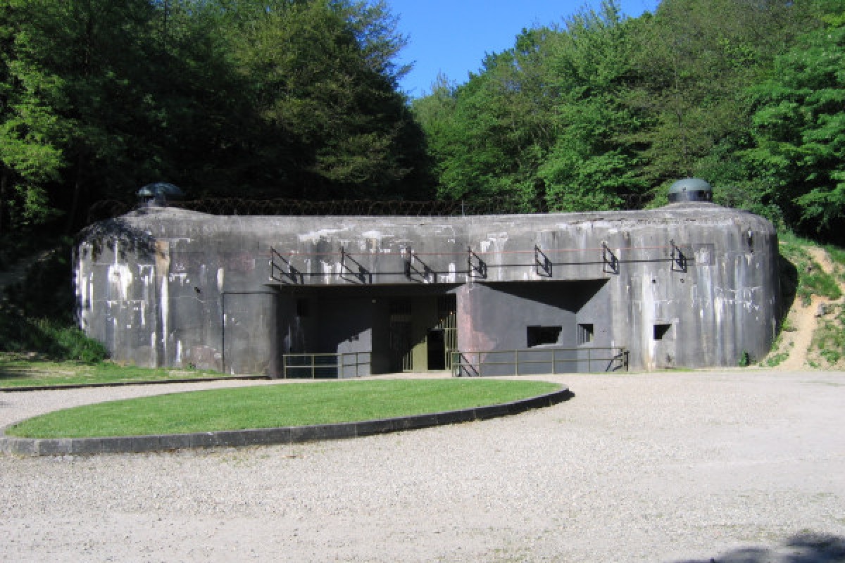 Maginot Line "Fort de Schoenenbourg" entrance ticket - Exploregion