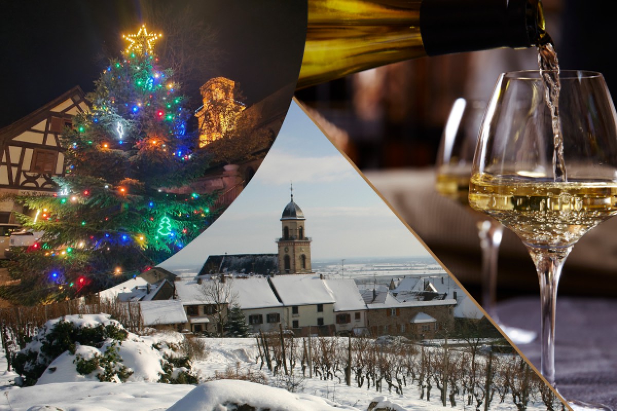 Merienda navideña. Tour y degustación - Exploregion