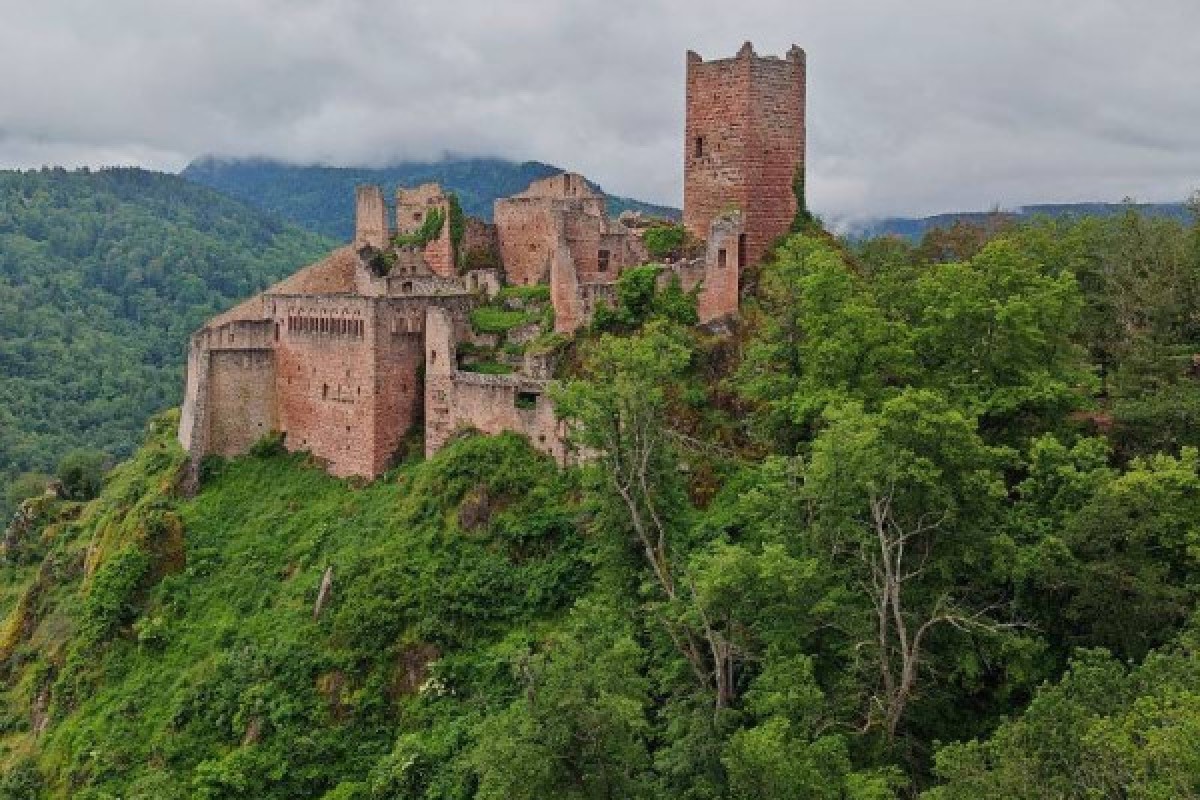 Christmas in Alsace between traditions and Nature 2 Days - Exploregion